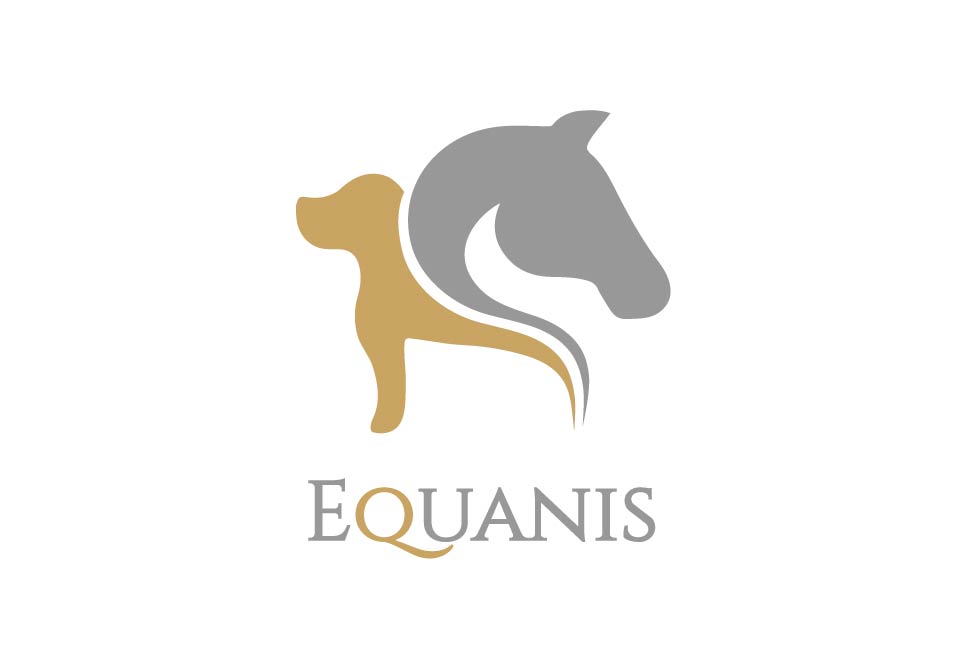 20 11 equanis